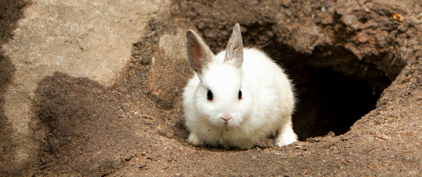 Unit 1 Project Smrt English